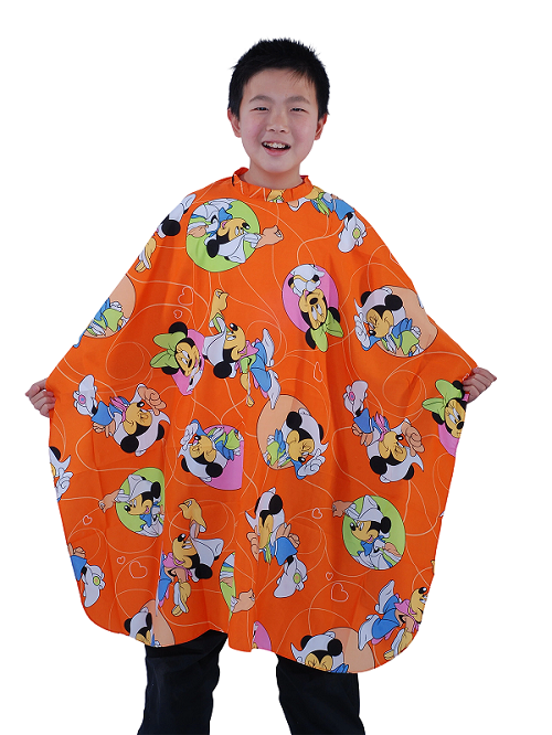 Cartoon Kids Haircut salon Cape