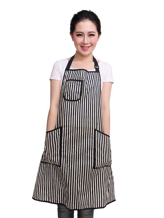Professional Stylist Apron
