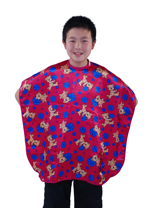 Cartoon Kids Haircut salon Cape